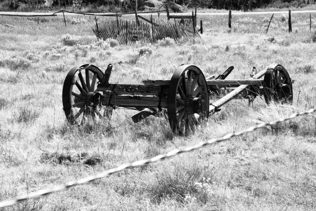 Wagon in field at Million Ranch