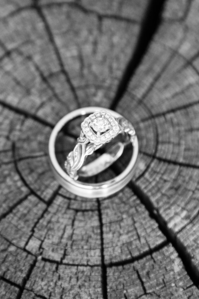 wedding rings sitting on cracked log
