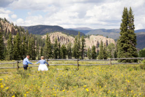 bride and groom walking through field of yellow flowers below cliffs in South Fork Colorado