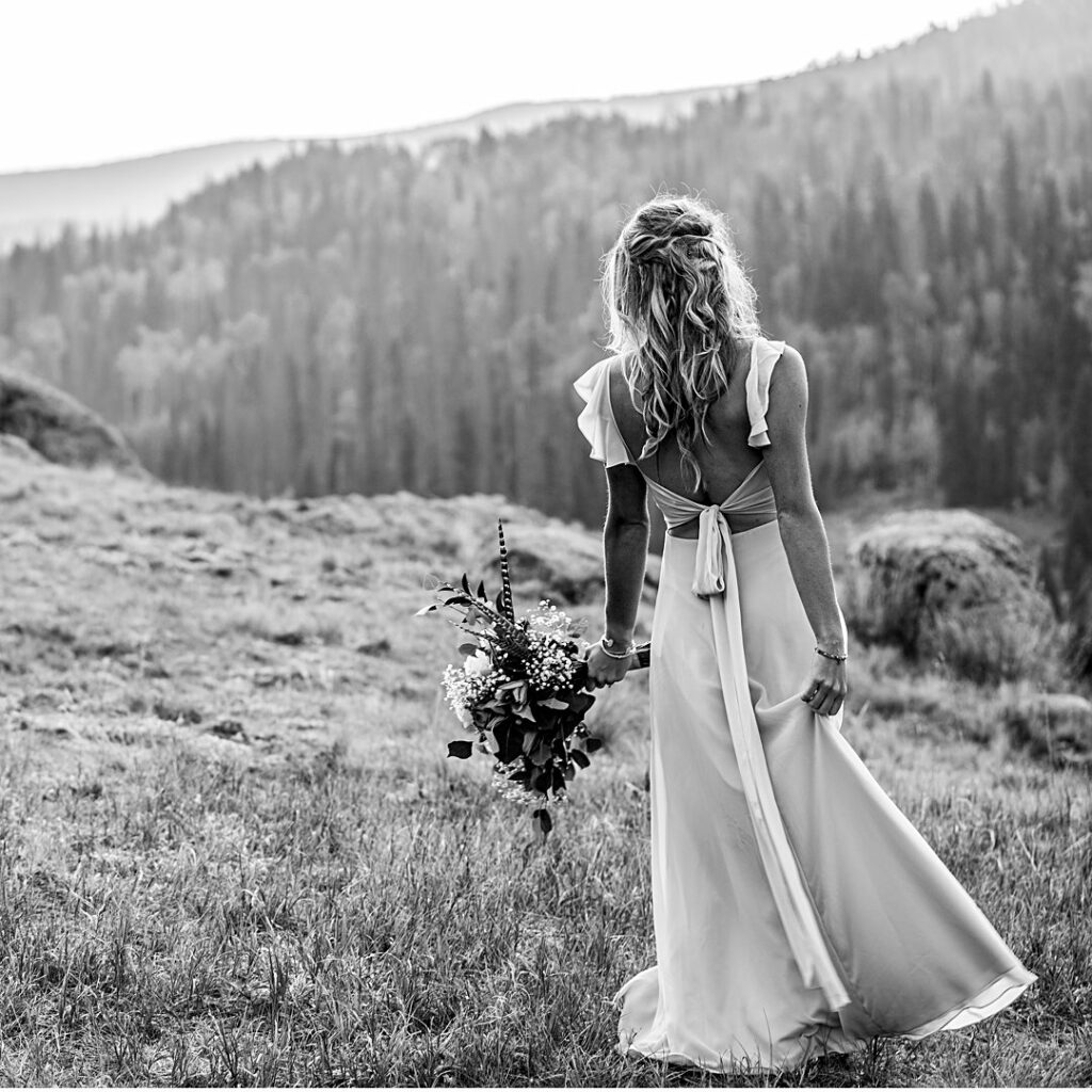 bride with flowing dress overlooking mountains